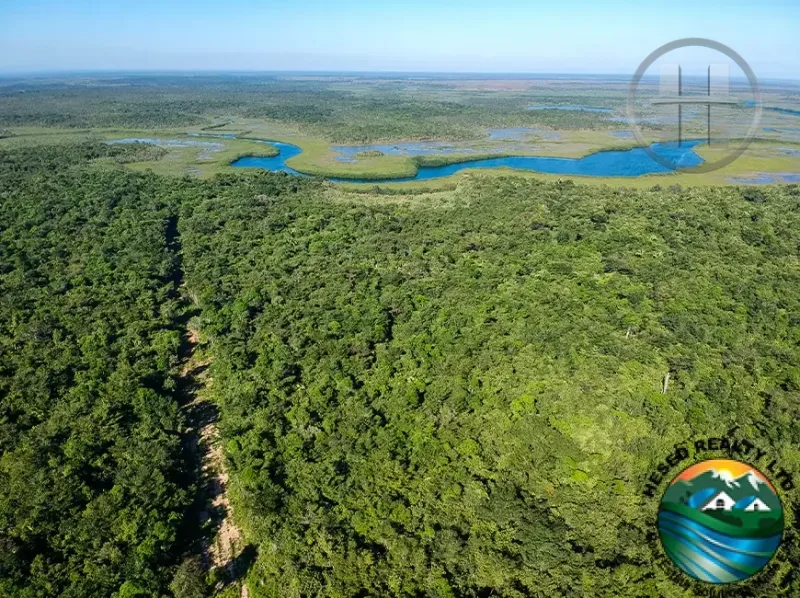 Aerial view of a vast 7000-acre untouched forest parcel in Toledo District, Belize real estate.
